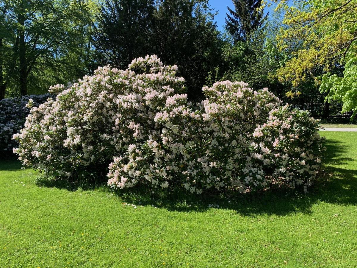 Schlosspark Grubhof - Mitterer Sankt Martin bei Lofer Esterno foto
